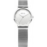 Bering Classic 13426-000