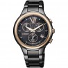 Citizen Eco-Drive FB1317-53E