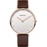 Bering Classic 14839-564